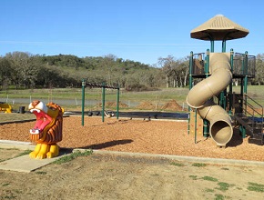 Lions Playground 2 (290x220)